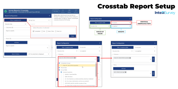 Crosstab Survey Report Setup