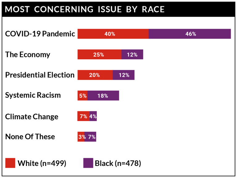 COVID-19 survey: Concerns by Race